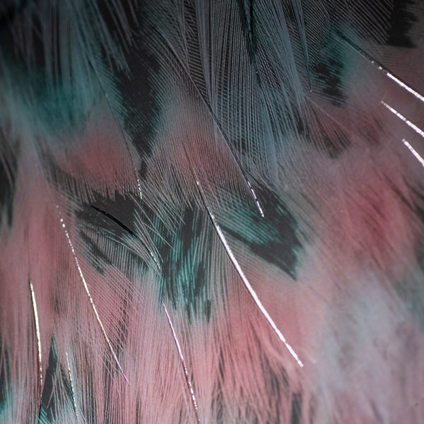 Užrašinė popieriniu viršeliu ŠIRDIES SPALVOS (viršelis iš arti)