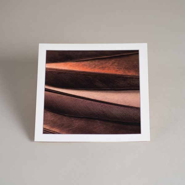 Atvirukas MINČIŲ SPARNAI