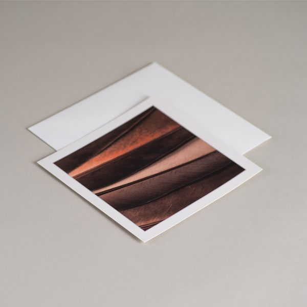 Atvirukas MINČIŲ SPARNAI