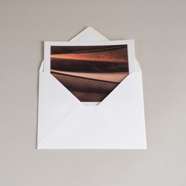 Atvirukas MINČIŲ SPARNAI (voke)