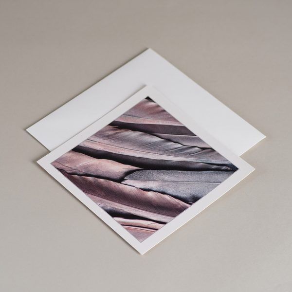 Atvirukas su voku SIDABRINĖ GULBĖ