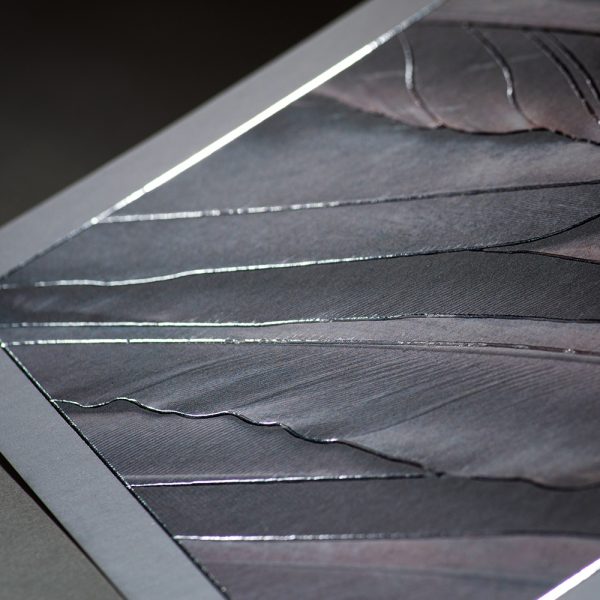 Atvirukas su voku SIDABRINĖ GULBĖ (iš arti)