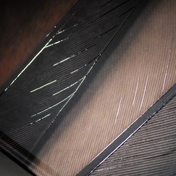 Užrašinė popieriniu viršeliu MINČIŲ SPARNAI (lakuotas viršelis)