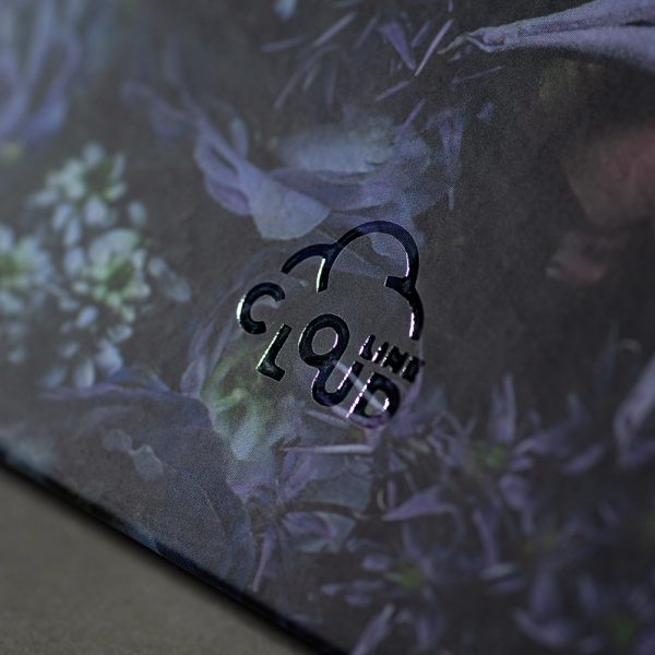 Užrašinė popieriniu viršeliu NAKTIES PIEVA (viršelis su laku)