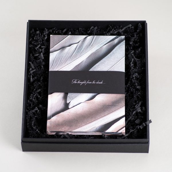 Užrašinė popieriniu viršeliu SIDABRINĖ GULBĖ (dėžutėje)