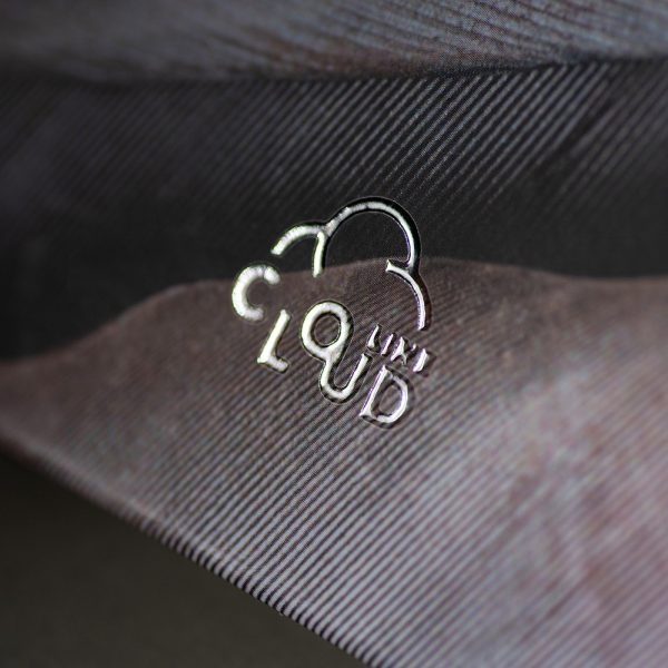 Užrašinė popieriniu viršeliu SIDABRINĖ GULBĖ (viršelis su laku)