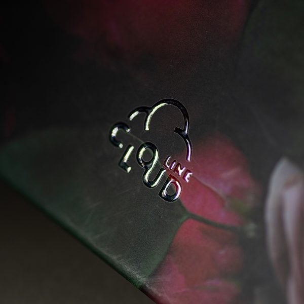 Užrašinė popieriniu viršeliu ŽIEDŲ ŠOKIS (logotipas iš lako)