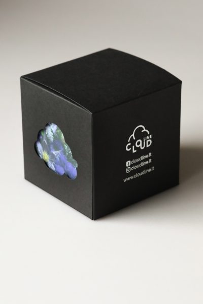 plėšomų lapelių kubelis violetinis